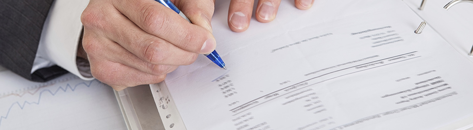 Financial Statement Review Santa Rosa